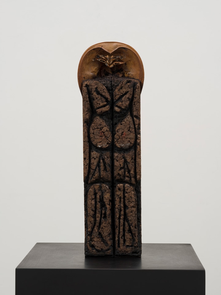 Huma Bhabha, Professor, 2022