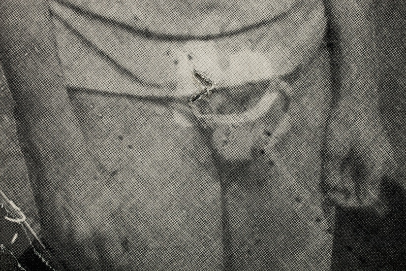 David Noonan Untitled, 2010