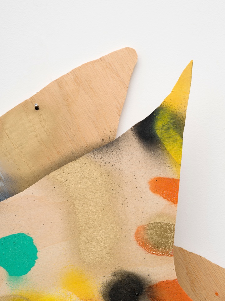 Richard Tuttle, Sylva Head, 2020