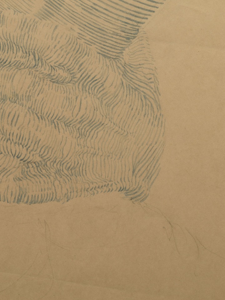 Jared Buckhiester, Untitled, 2014