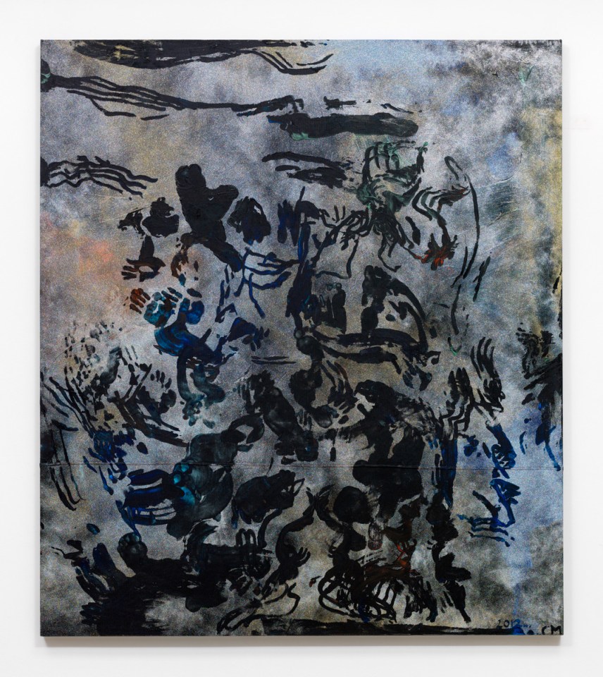 Chris Martin American Museum of Natural History, 2012