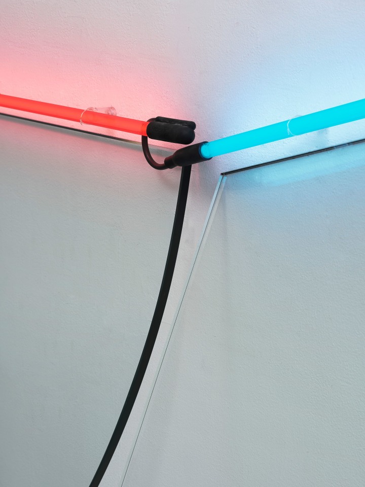 Keith Sonnier, Dyad Cut Ba-O-Ba, 1969