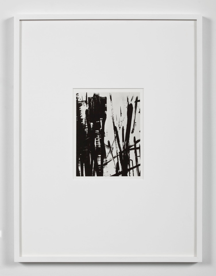 Anthony Pearson Untitled (Solarization), 2010