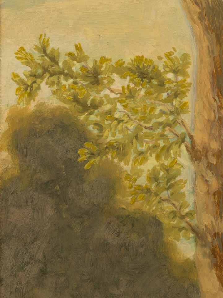 Jared Buckhiester, Continent Of Misbelief, 2025