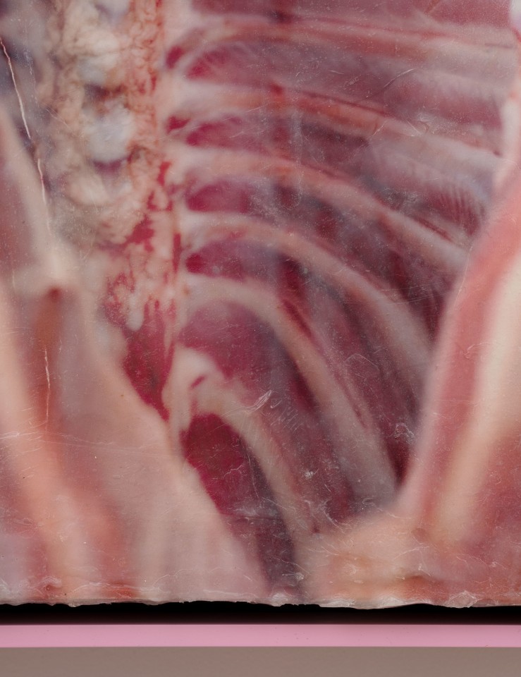 Shahryar Nashat, Lover_4.JPEG, 2022