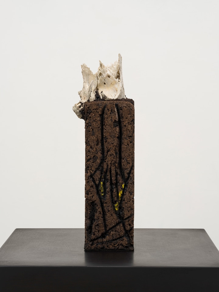 Huma Bhabha, Richie, 2022