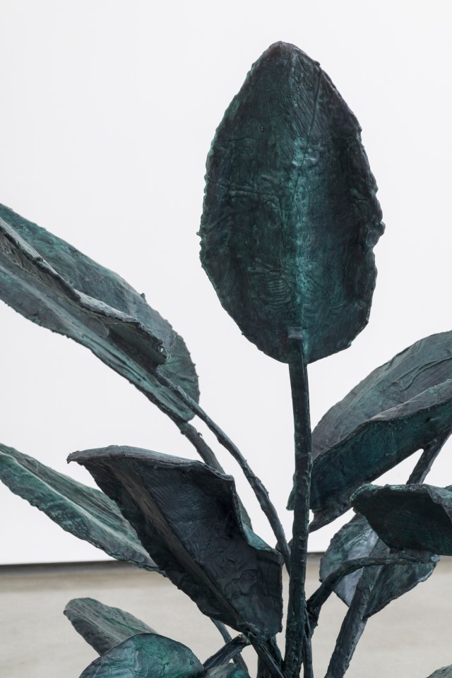 Evan Holloway Houseplant, 2018 - 2019