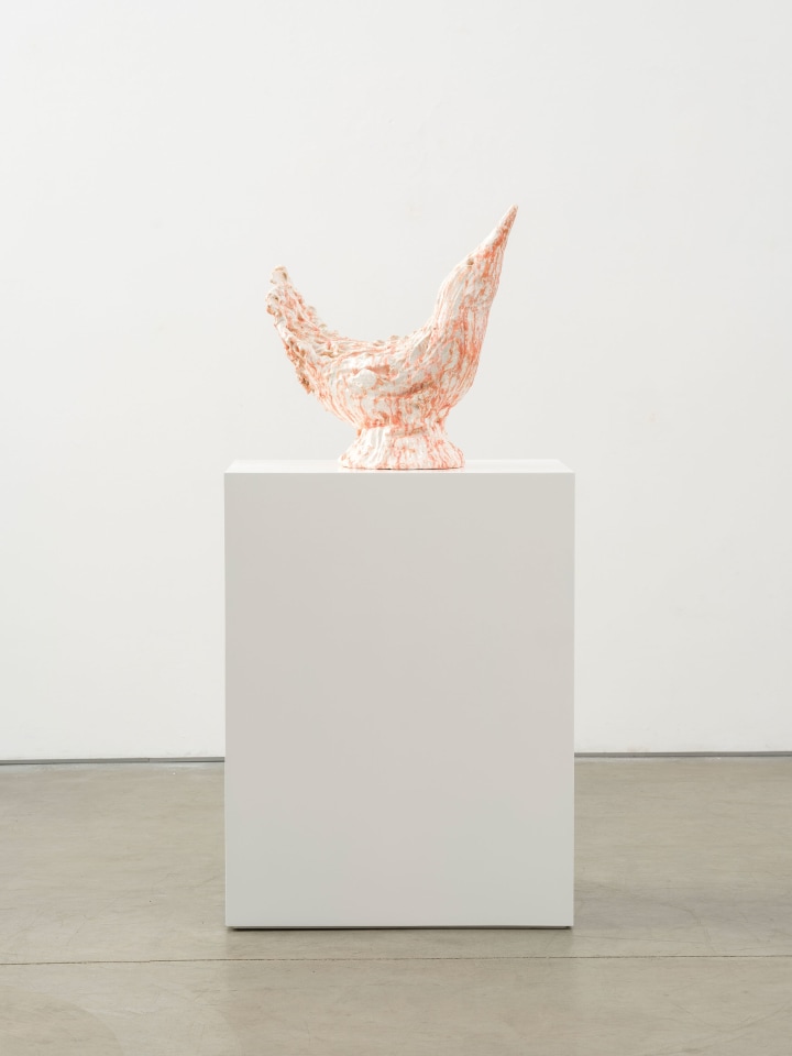 Mai-Thu Perret, The purple swallows and yellow nightingales are in deep discussion about true nature II, 2022