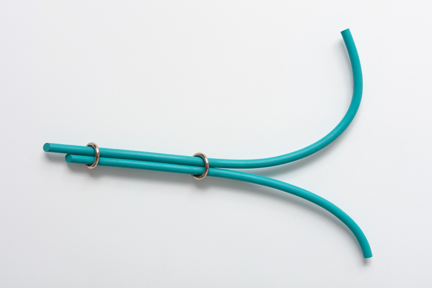 Ricky Swallow Split Bows with Rings (paired), 2018