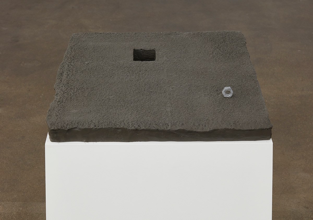 A nut a hollow, 2016