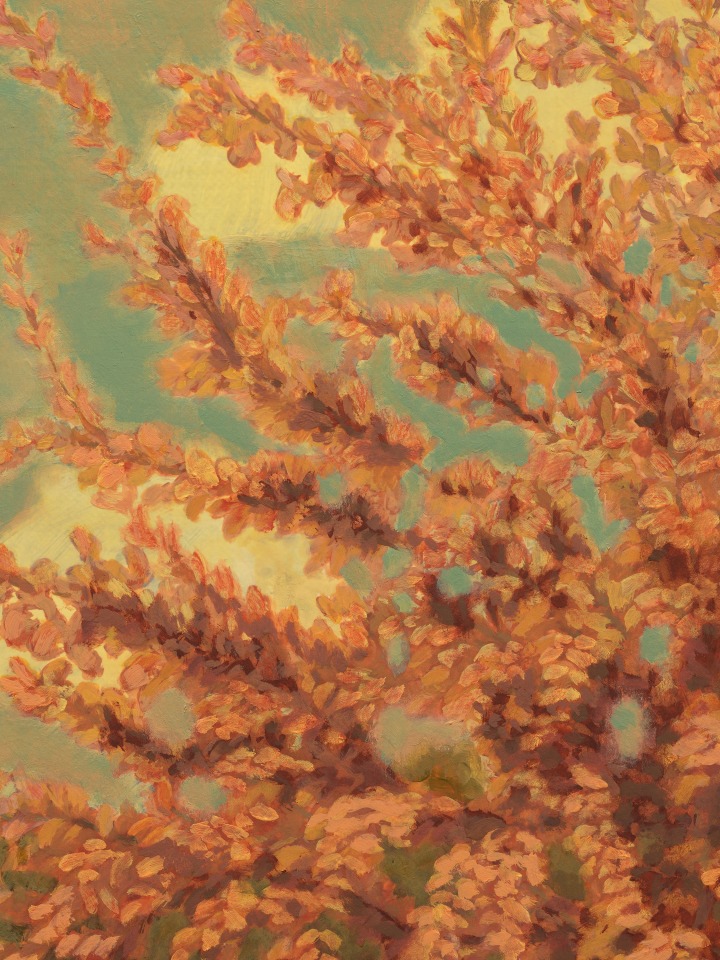 Jared Buckhiester, Thus it happened., 2025