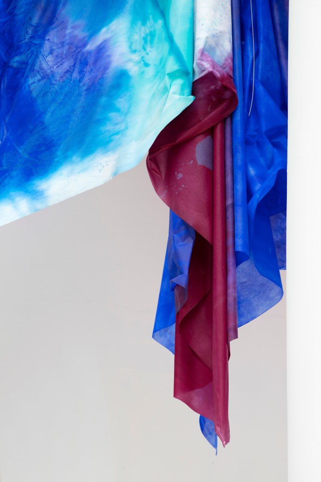 Sam Gilliam