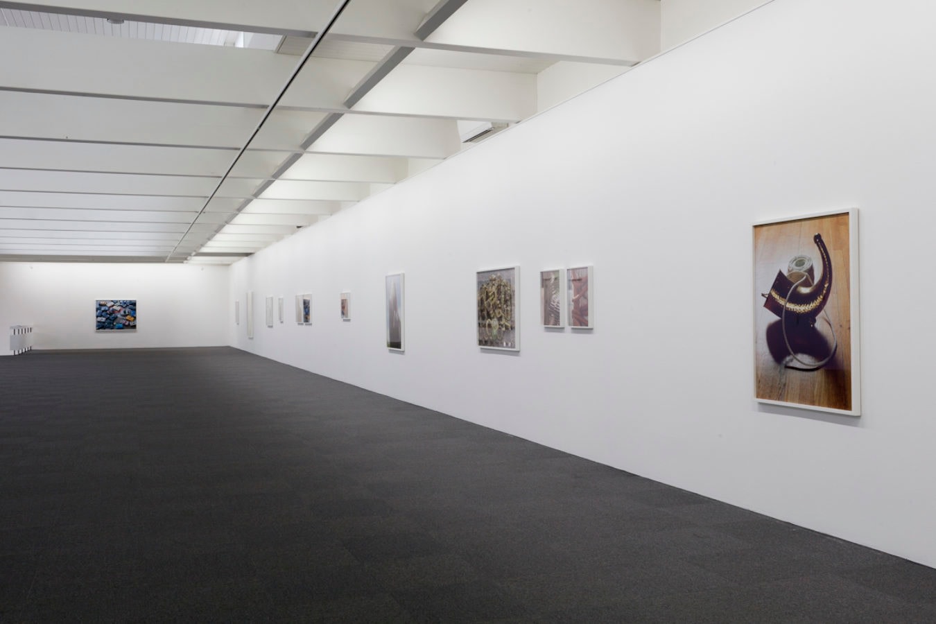 Torbj&oslash;rn R&oslash;dland