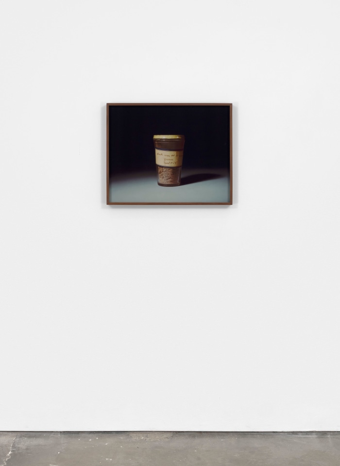 Rose Salane, Earth: Near Mount Parnassus, Greece, 2025