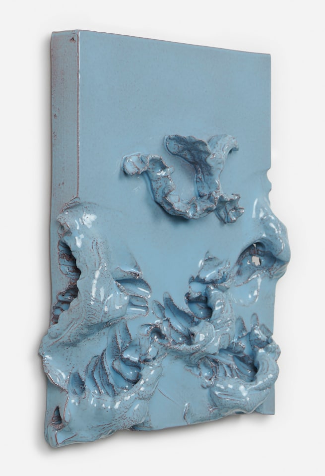 Mai-Thu Perret, She escapes the diamond pitfall and eats up the prickly thorns, 2022