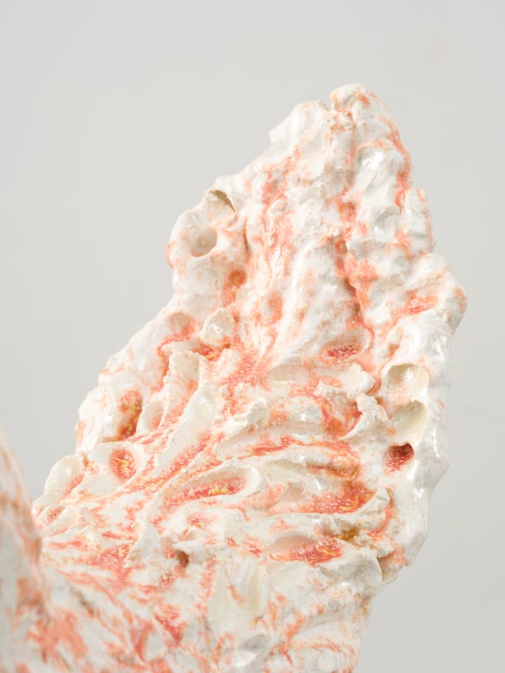 Mai-Thu Perret, The purple swallows and yellow nightingales are in deep discussion about true nature II, 2022