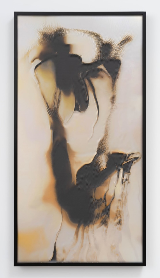 Anicka Yi, &Uacute;&ntilde;K&ntilde;W&ntilde;K, 2025