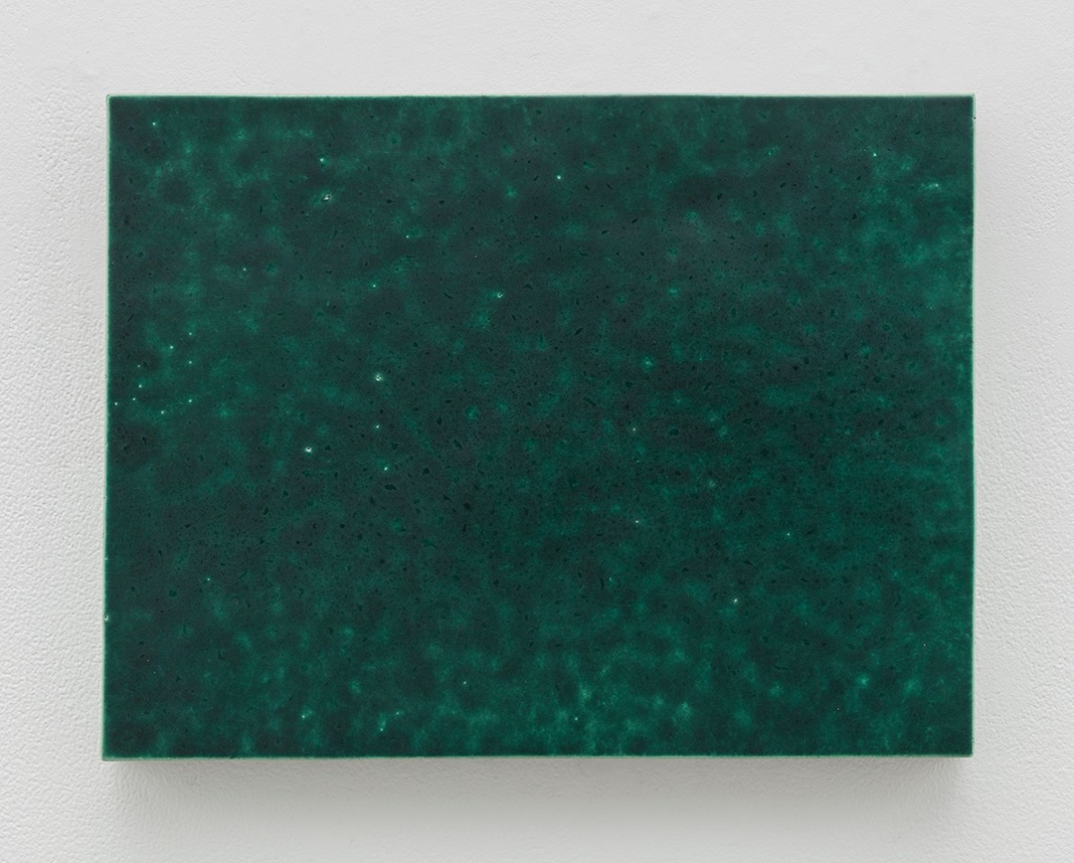 Mai-Thu Perret She can play with dead snakes and bring them to life, 2017