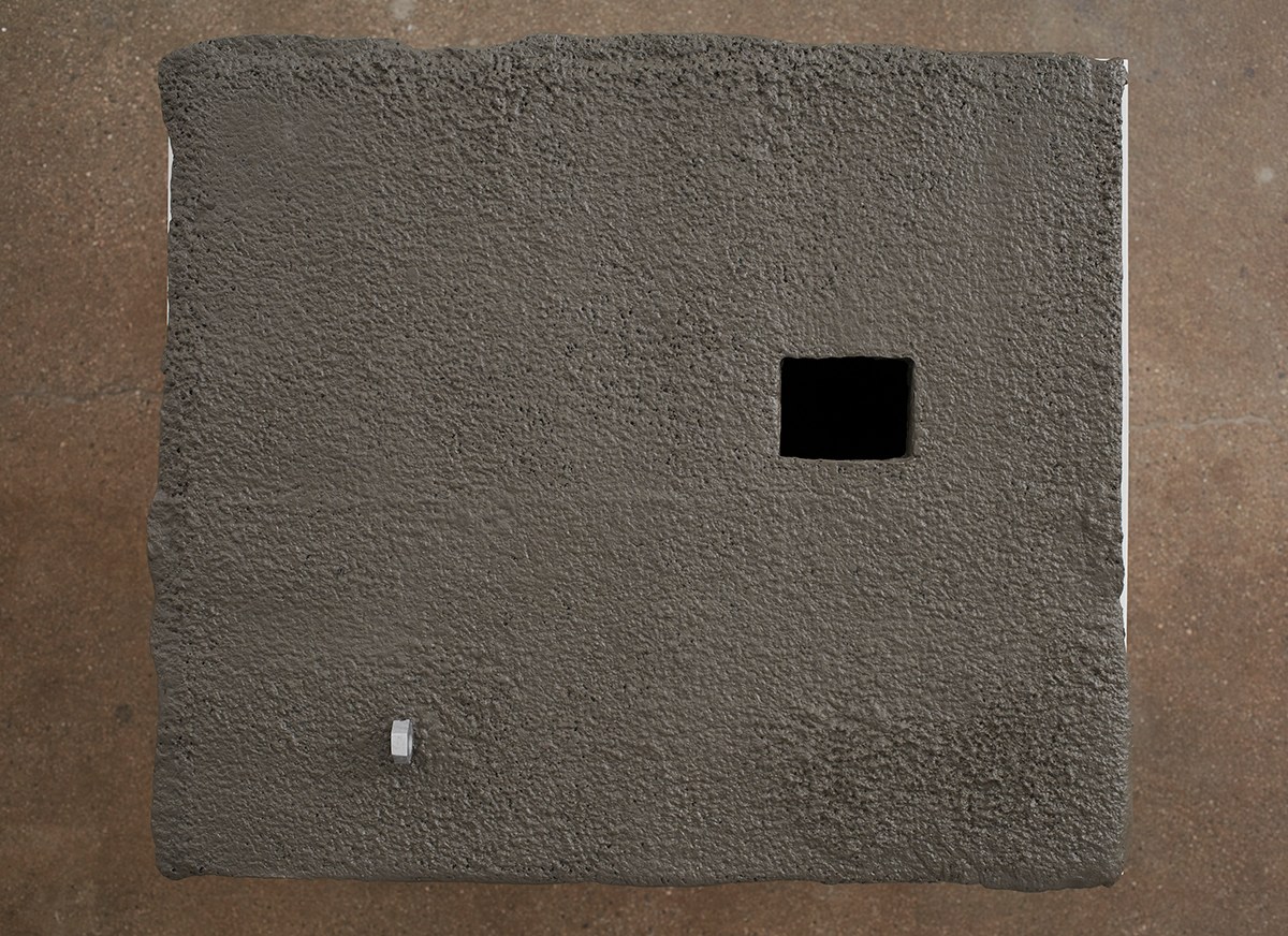 A nut a hollow, 2016