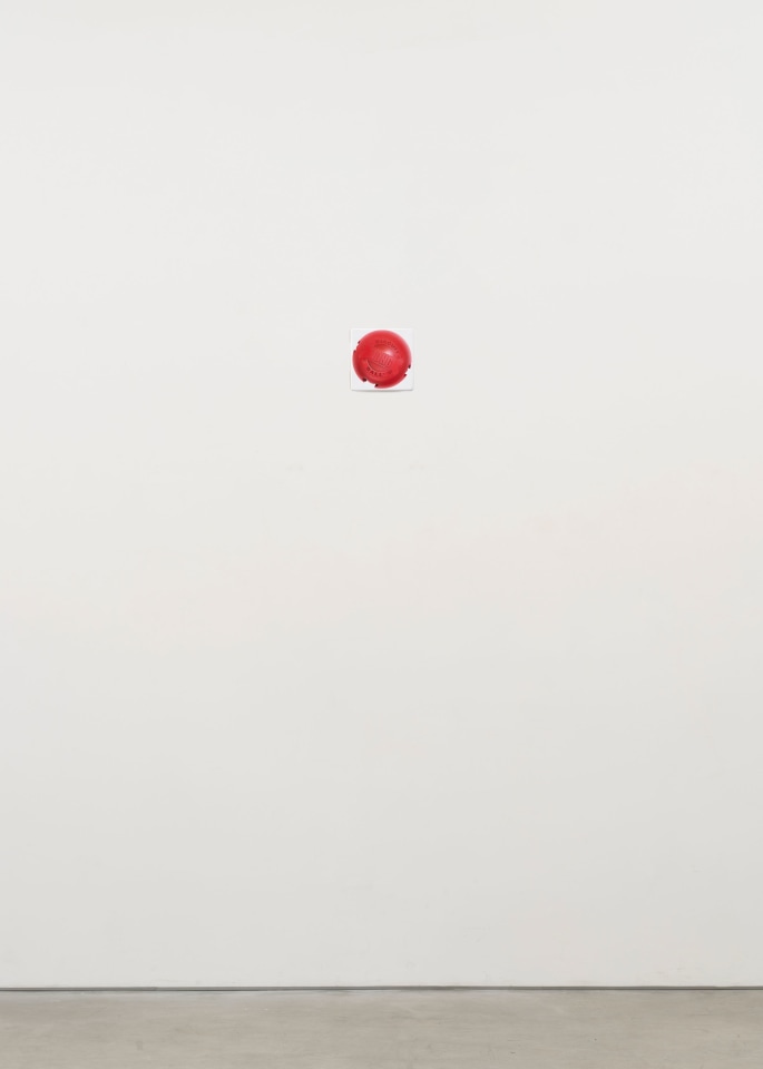 Mario Ayala, Rubber Biscuit, 2023