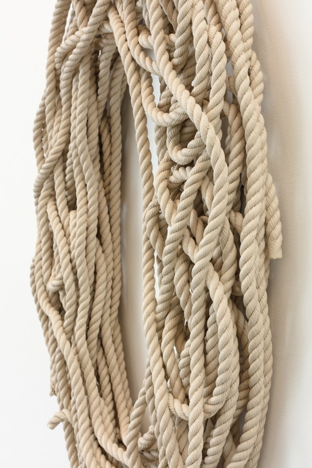 Ricky Swallow (0), 2016 - 2018