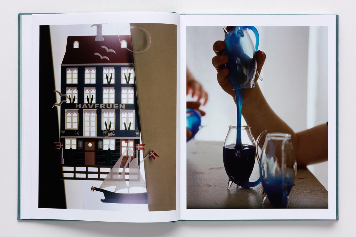 Torbjørn Rødland - Confabulations - Publications - David