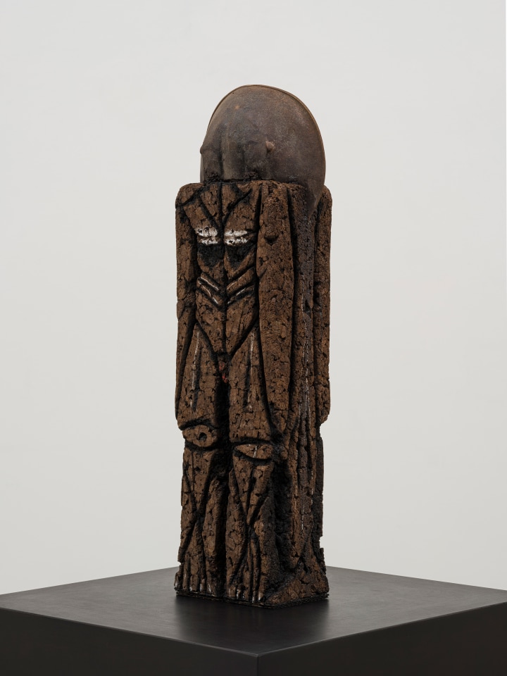Huma Bhabha, Professor, 2022