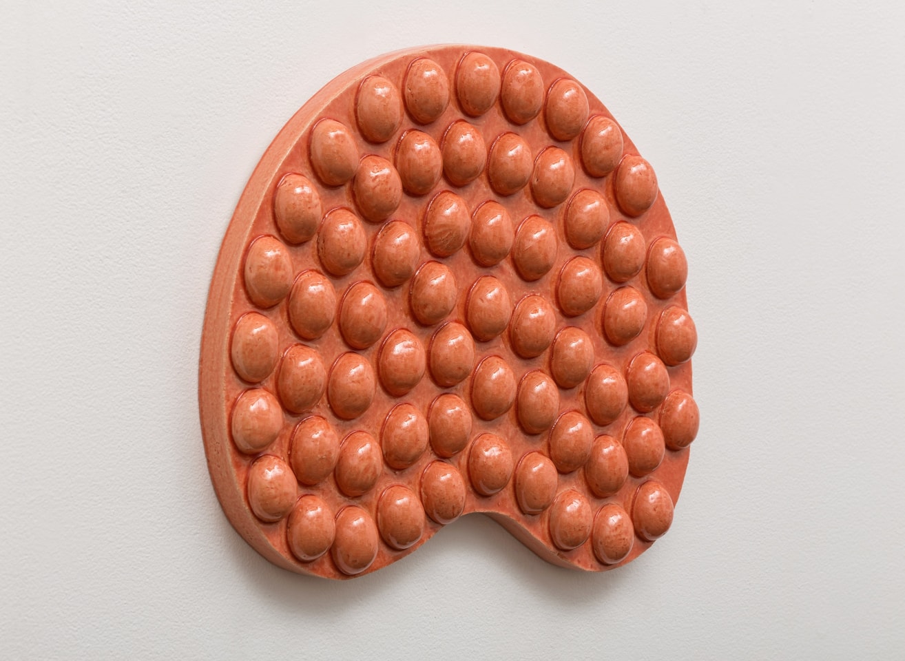 Mai-Thu Perret How can a sparrow know the aspiration of a wild swan?, 2014