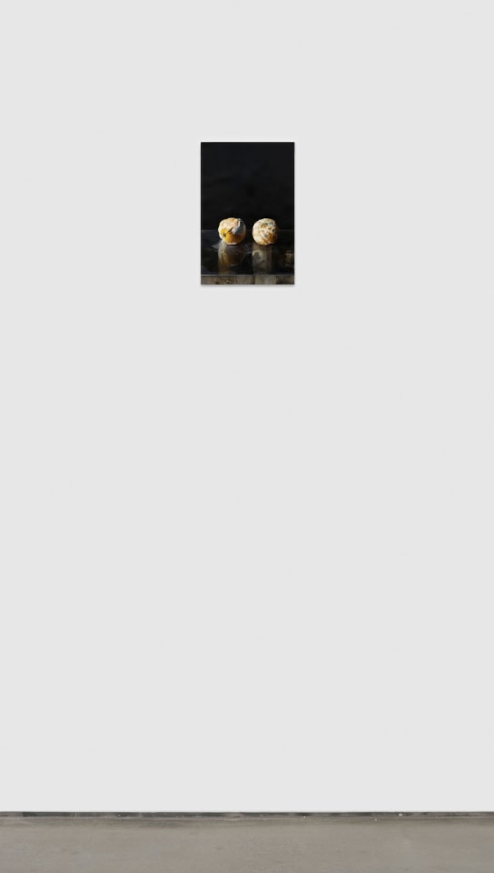 Karol Palczak, Gnijące pomarańcze, 2025