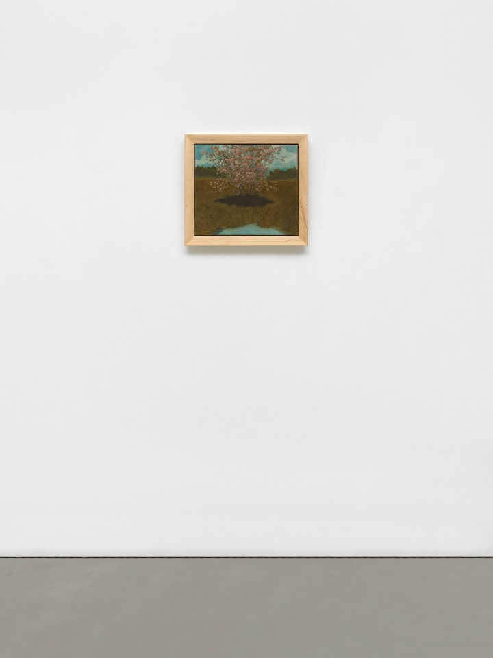 Jared Buckhiester, How is a body to know what&rsquo;s coming, 2024