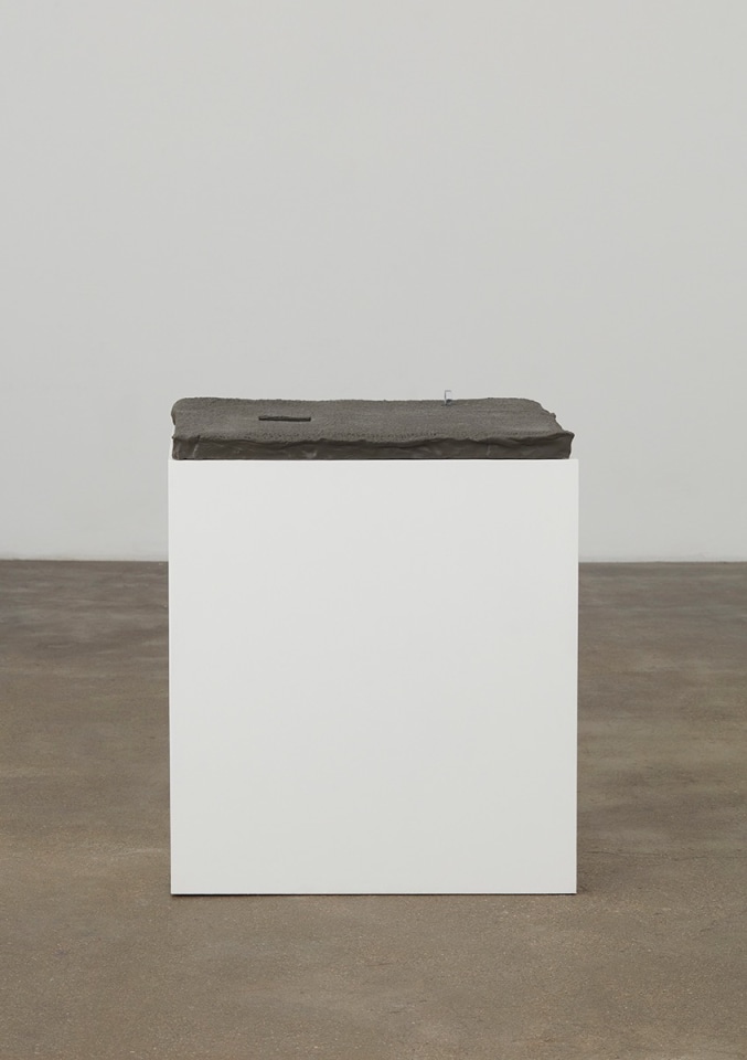 A nut a hollow, 2016