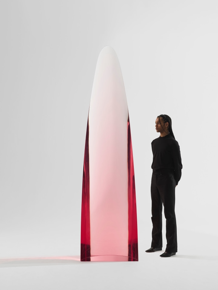 Fred Eversley, Untitled (cylindrical lens), 2022