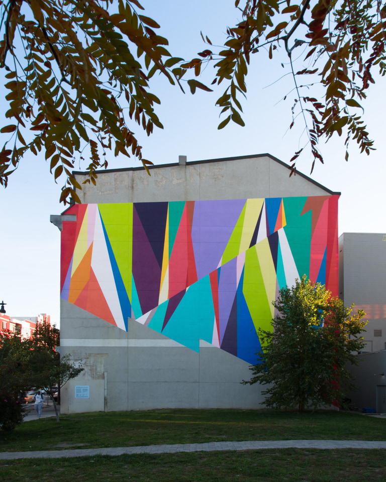 Odili Donald Odita