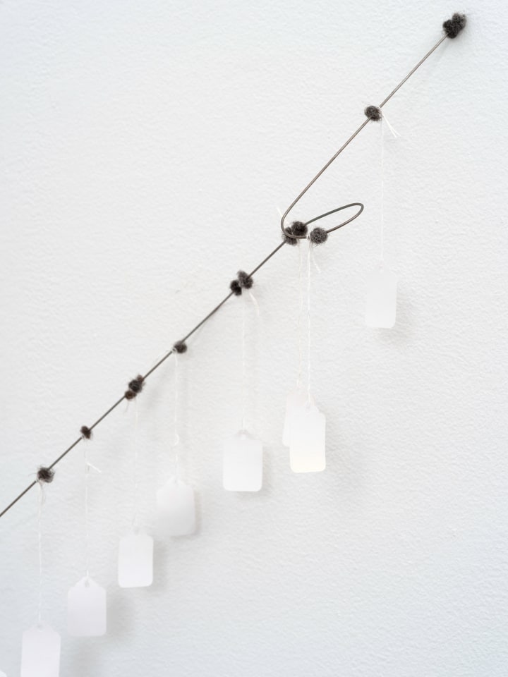 Clifford Owens, (Hair and Wire, Venice Beach &amp;amp; Tag Sale), 2016