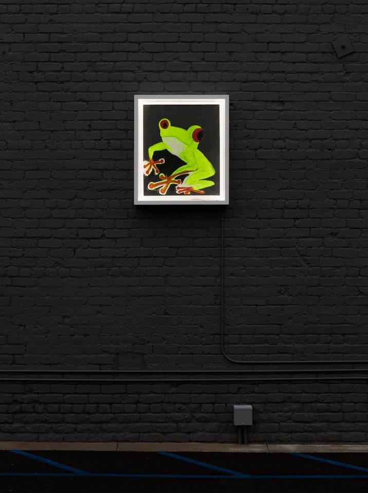 Chris Martin Frog 1, 2016
