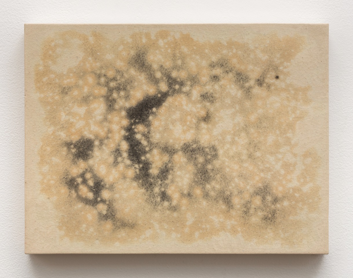 Mai-Thu Perret Morning comes, everywhere&rsquo;s the same, rain on a thousand houses, 2014