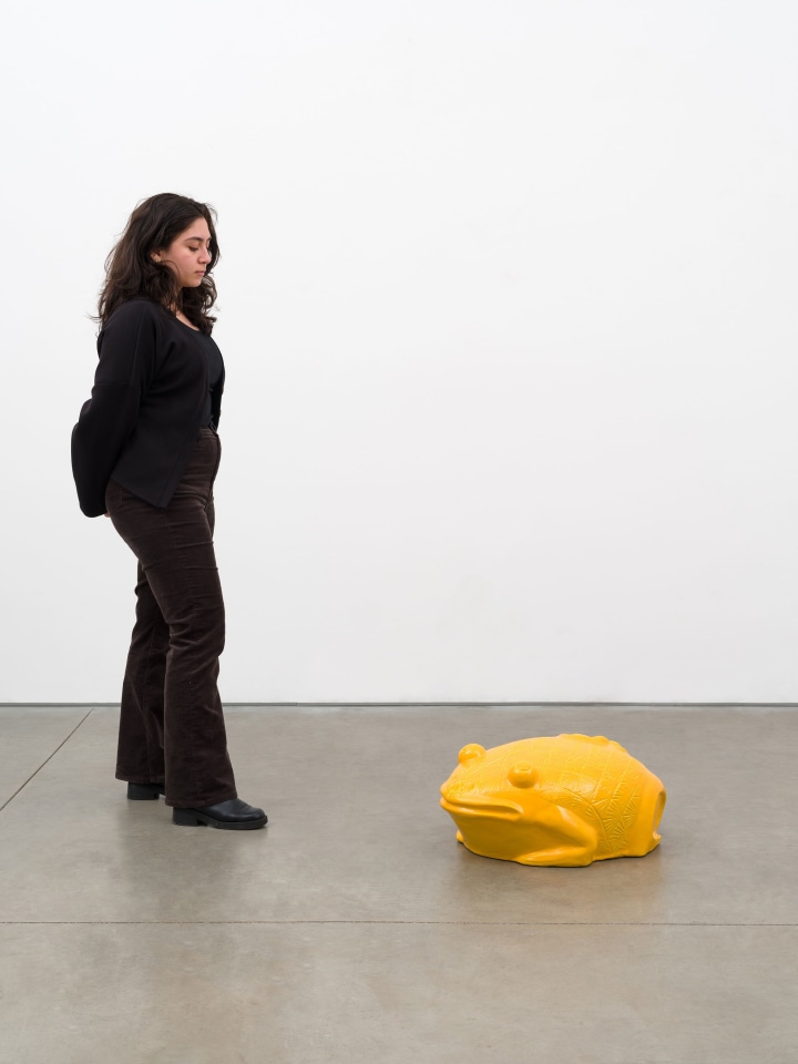 Mai-Thu Perret, Vast rumbling thunder and not a drop of rain IV, 2022