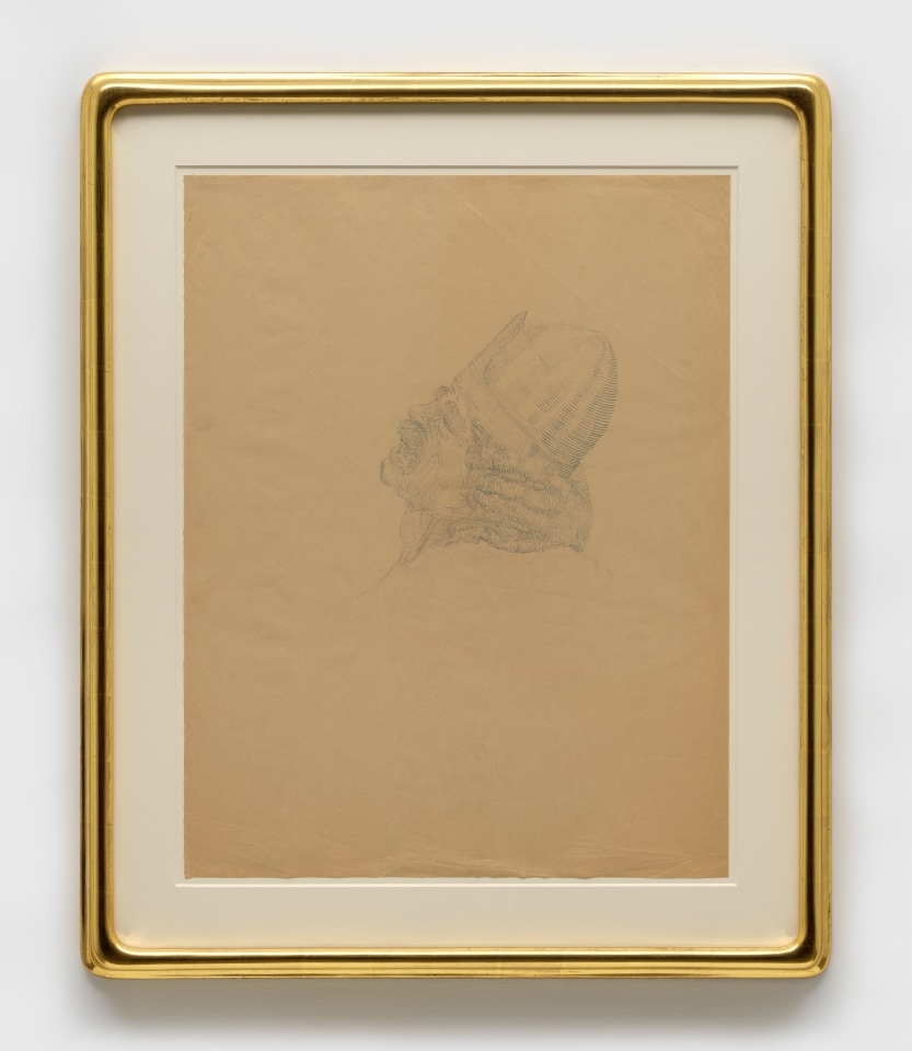 Jared Buckhiester, Untitled, 2014