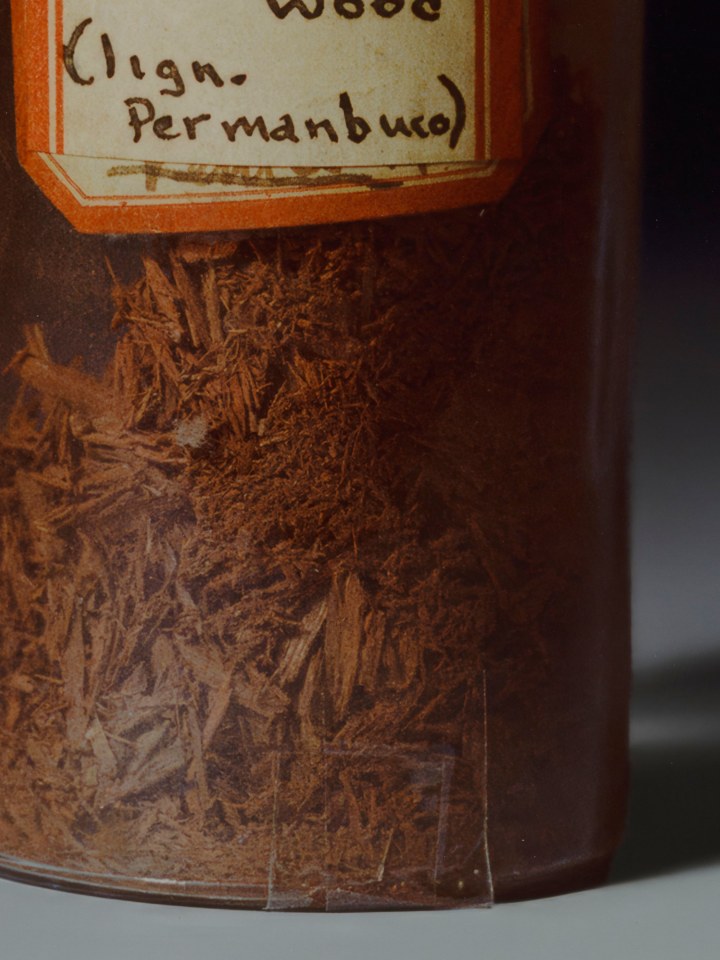 Rose Salane, Brazilwood, 2025