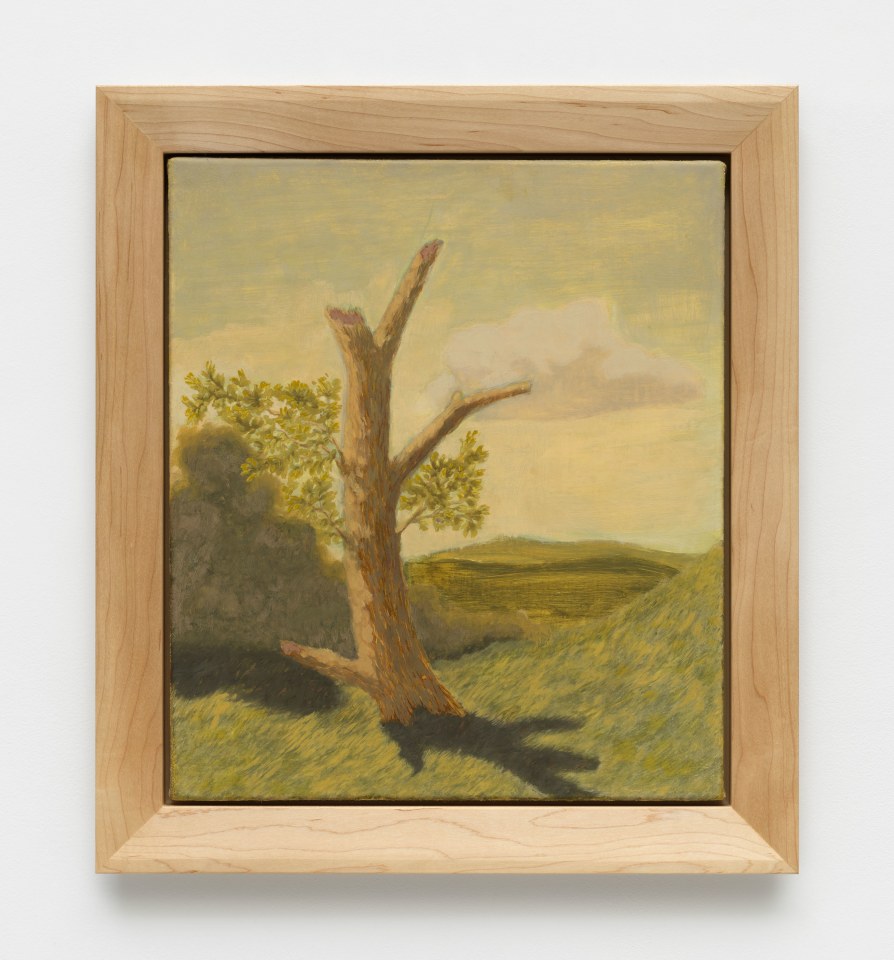 Jared Buckhiester, Continent Of Misbelief, 2025