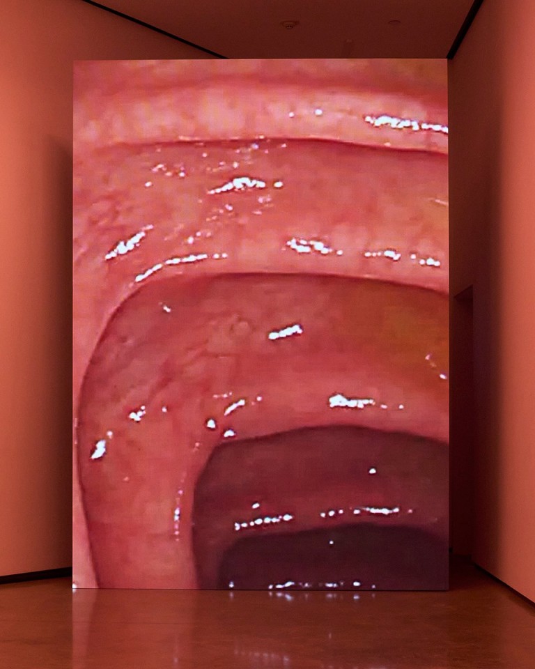 Shahryar Nashat, Lover_00.JPEG, 2022