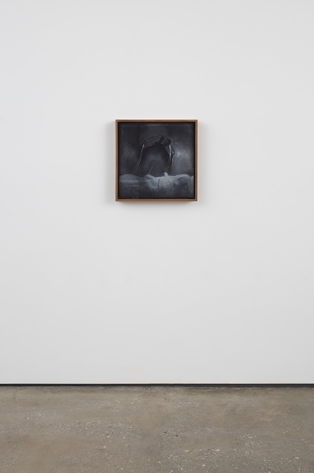 Pietro Roccasalva Untitled,&nbsp;2016