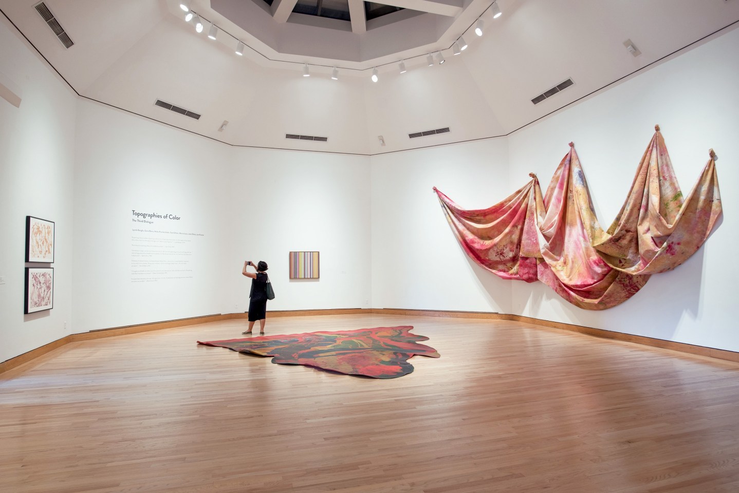 Sam Gilliam