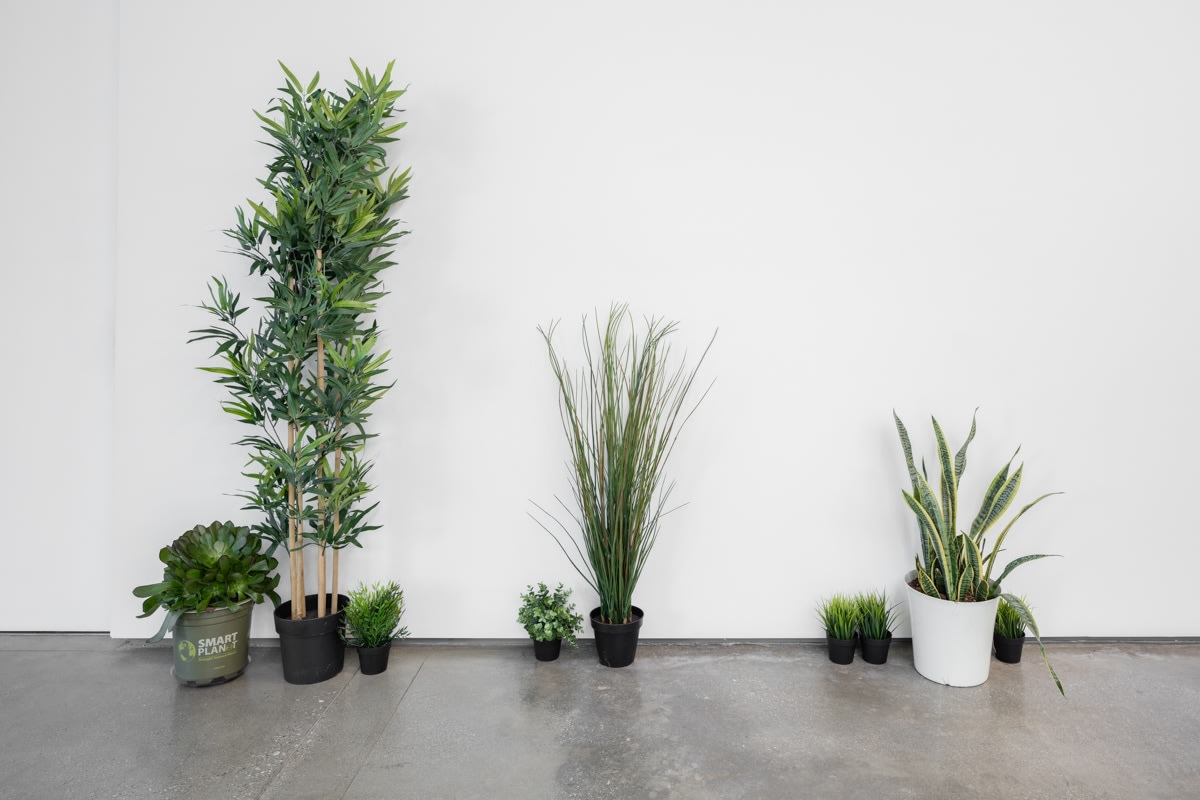 John Armleder Bungalow, 2017