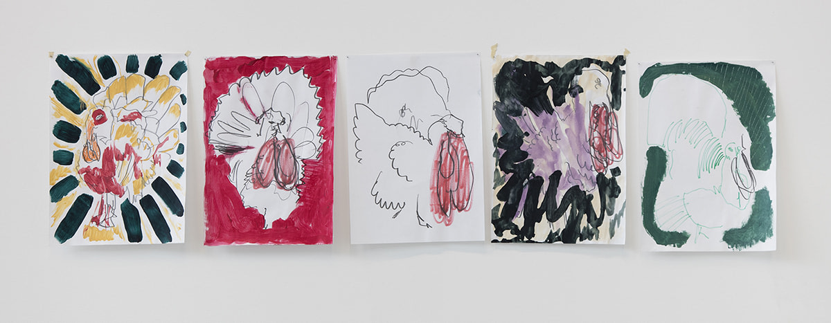 Adriano Costa Turkeys, 2016