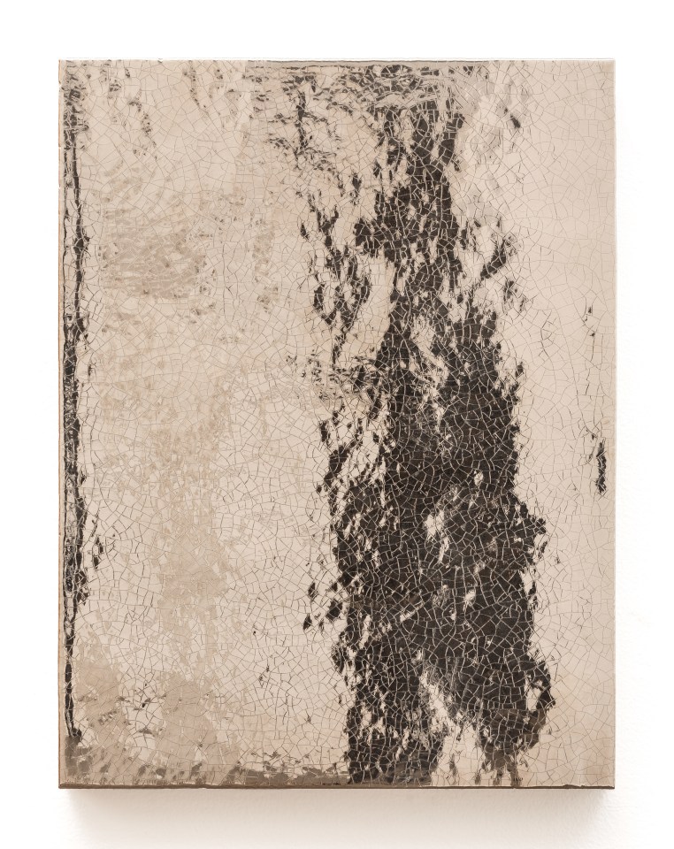 Mai-Thu Perret This unique scenery cannot be painted, 2012