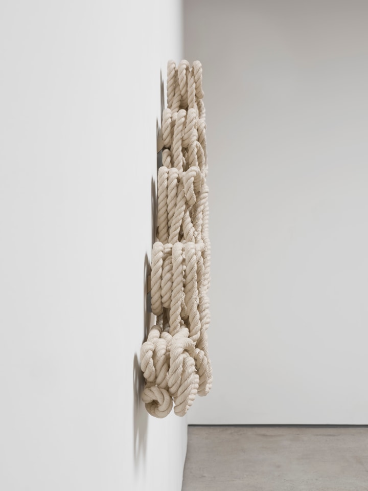 Ricky Swallow Stringer, 2020