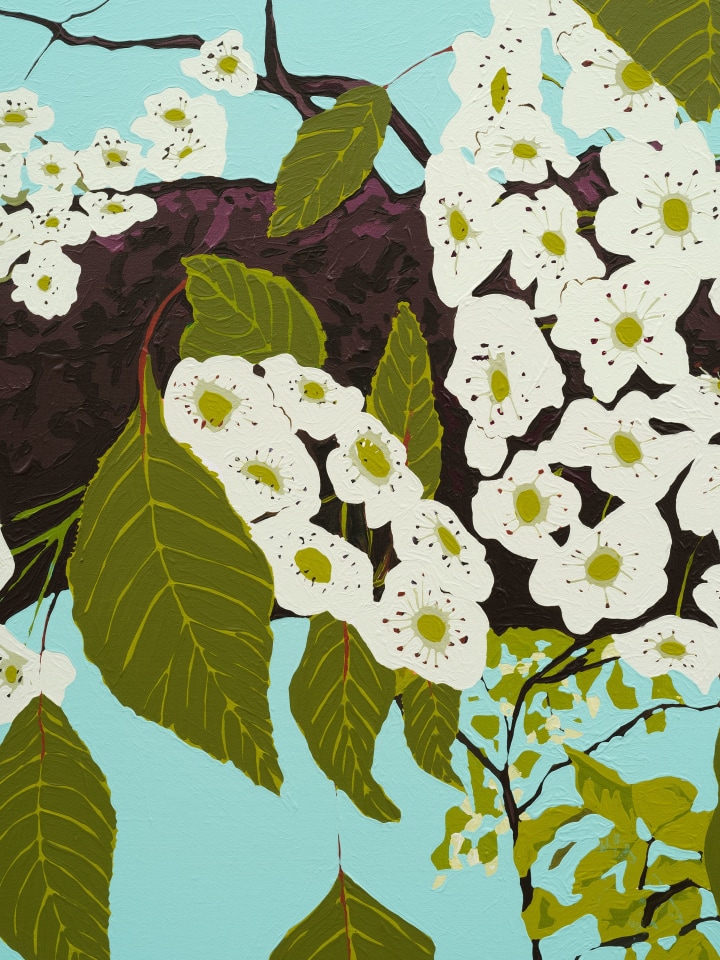 Hilary Pecis, Frog Town Pear Blossoms, 2023