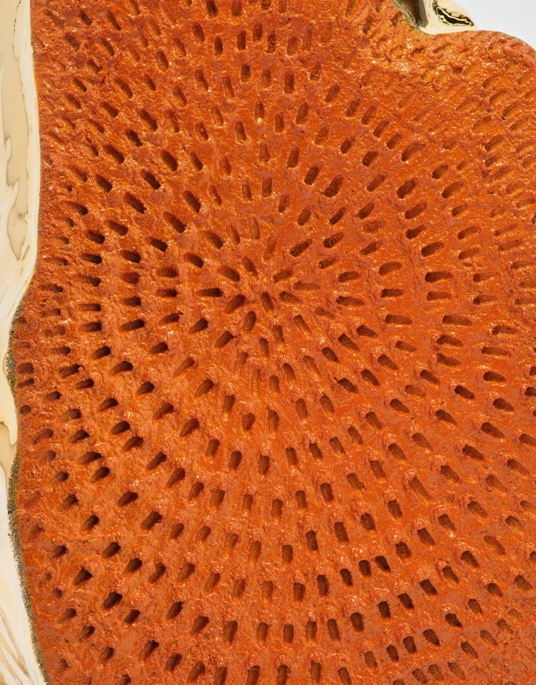 Jennifer Guidi, Shimmering in Light, 2022