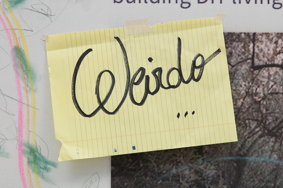 Adriano Costa Rent!, 2016